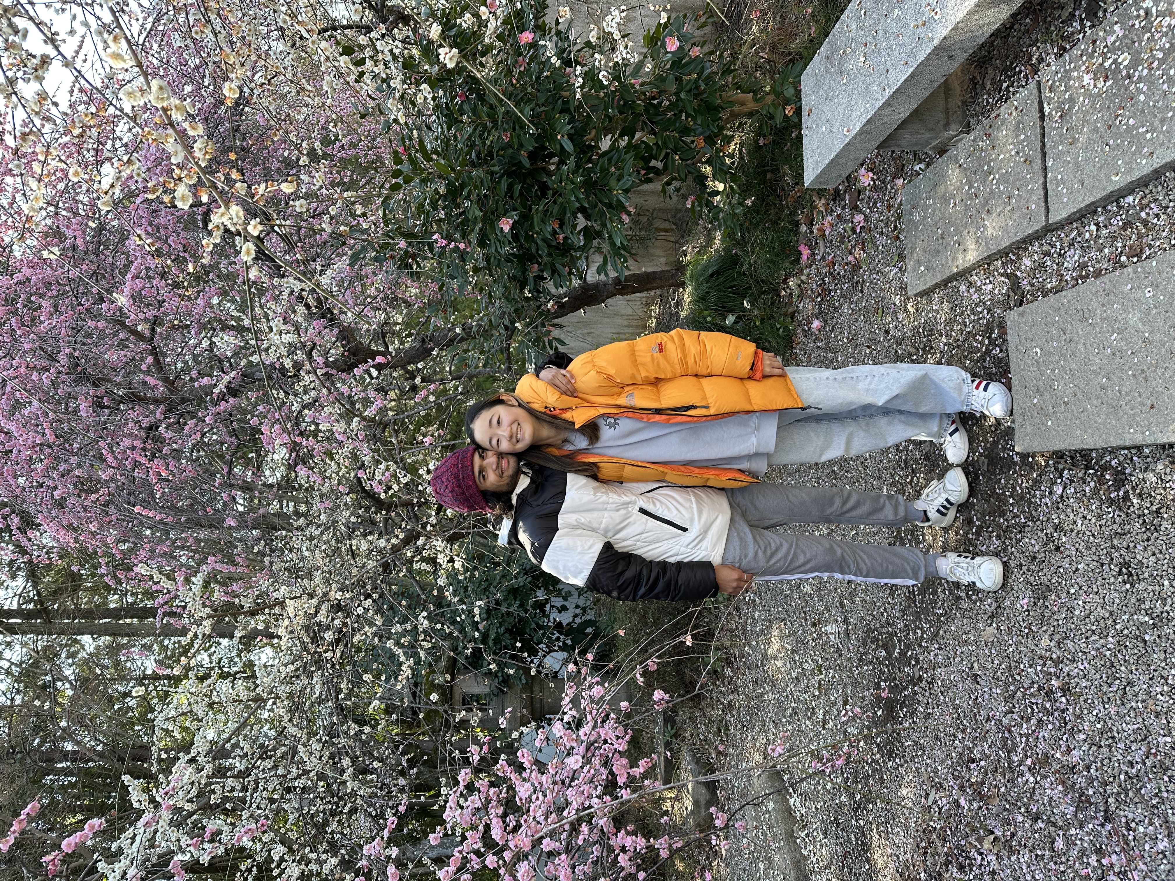 Cherry Blossom Memories
